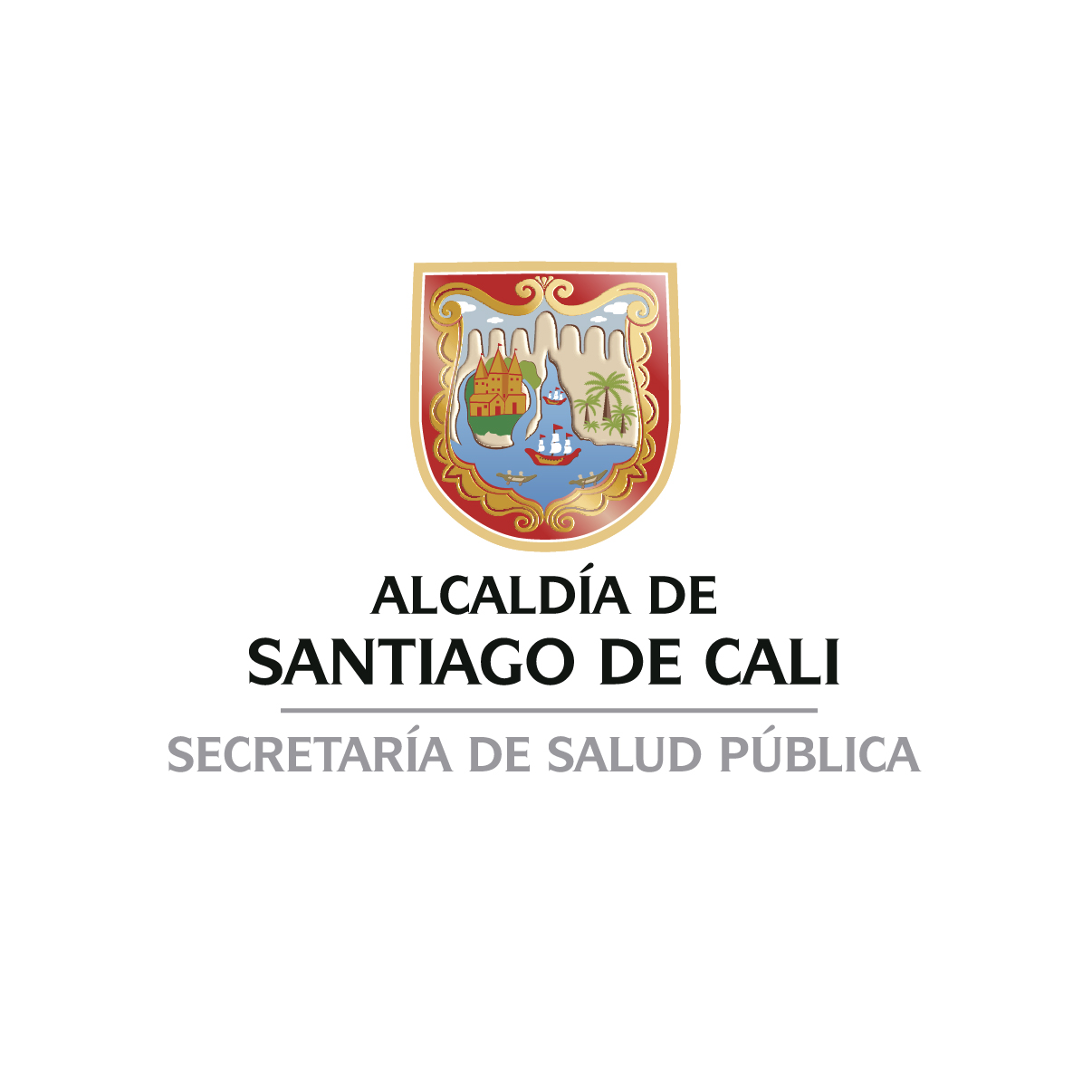 secretaria-de-salud-publica